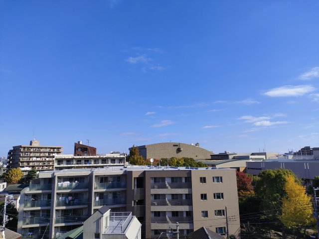 トーヨーマンションの展望