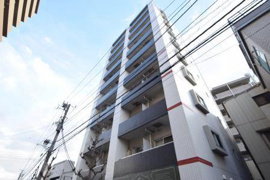 ミリアビタ№１５の画像