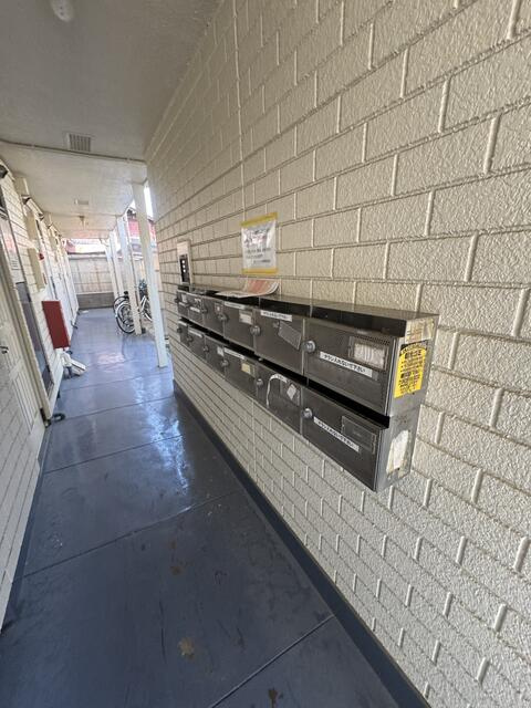 参考写真