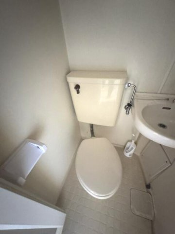 参考写真