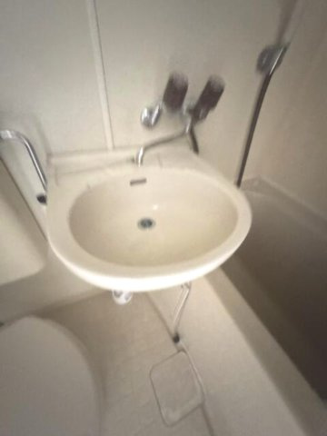 参考写真