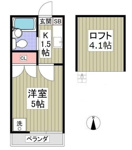 デイジーの画像