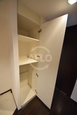 エル・セレーノ上本町レジデンスの収納|エルセレーノ上本町レジデンス　シューズボックス