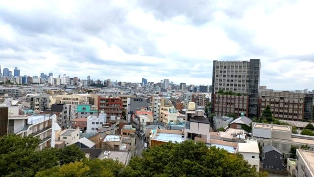 【展望】 | パレステュディオ立教通り