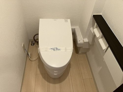 ライオンズステーションプラザセンター南のトイレ