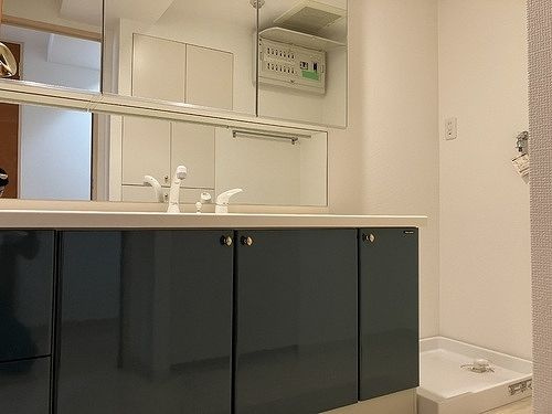 ライオンズステーションプラザセンター南の洗面所