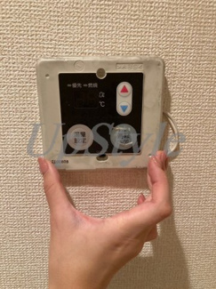 【その他】 | リュイール