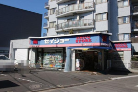 セイジョー　柳沢店まで335m