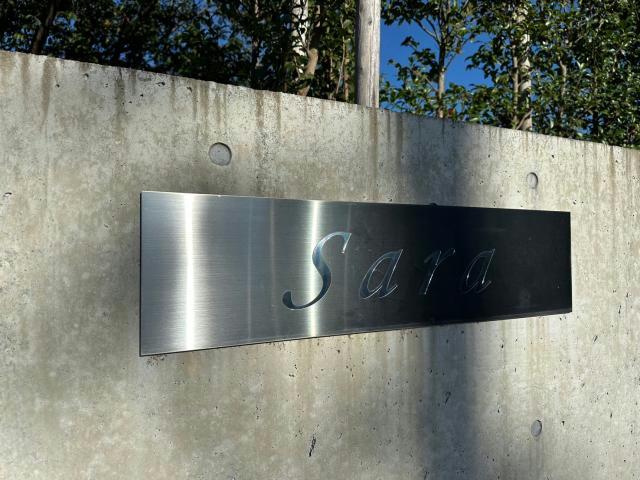 SARAのその他