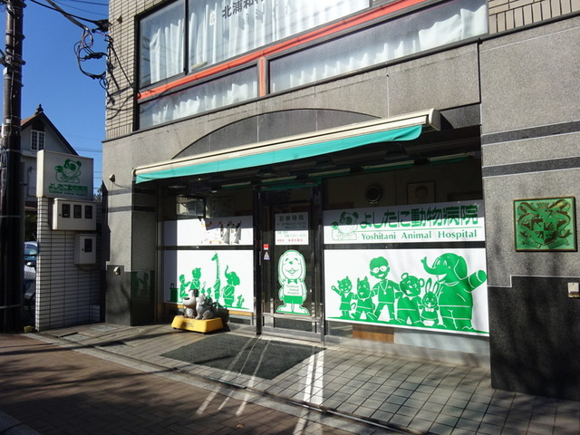Ｃｏｌｌｉｎａ　のその他|よしたに動物病院