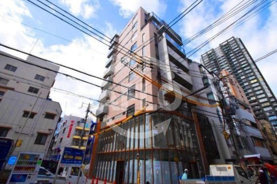 Trustman　Horie（トラストマンホリエ）　堀江小学校区の周辺|Trustman　Horie（トラストマン堀江）　周辺