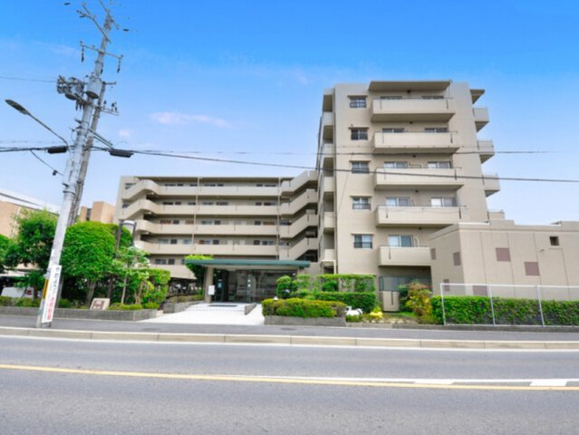 ルネ藤の森