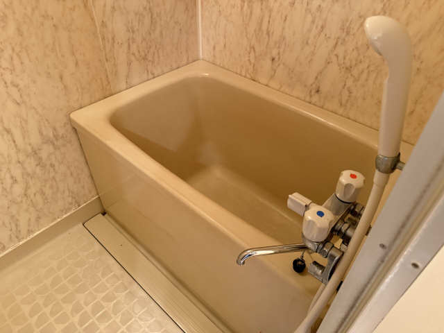 シャンポール鴻ノ巣の浴室