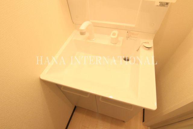 ソレイユⅤの独立洗面台
