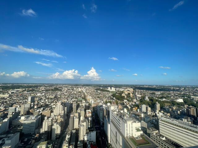 ＣＨＩＢＡ　ＣＥＮＴＲＡＬ　ＴＯＷＥＲの展望