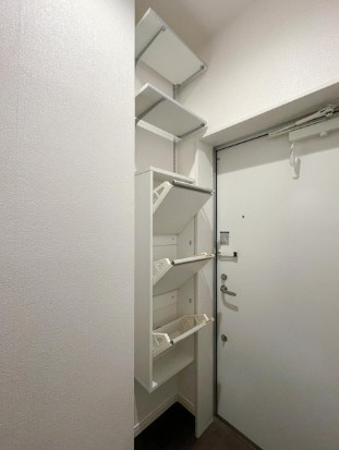 アメトリン池袋の玄関