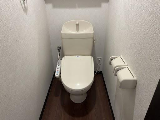 メゾン坂汐Ⅱ号館のトイレ|シャワー付トイレ