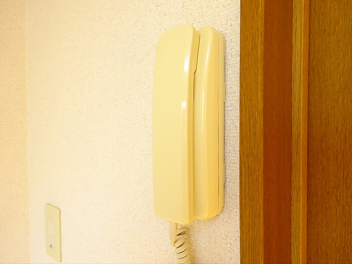 ステラのセキュリティ
