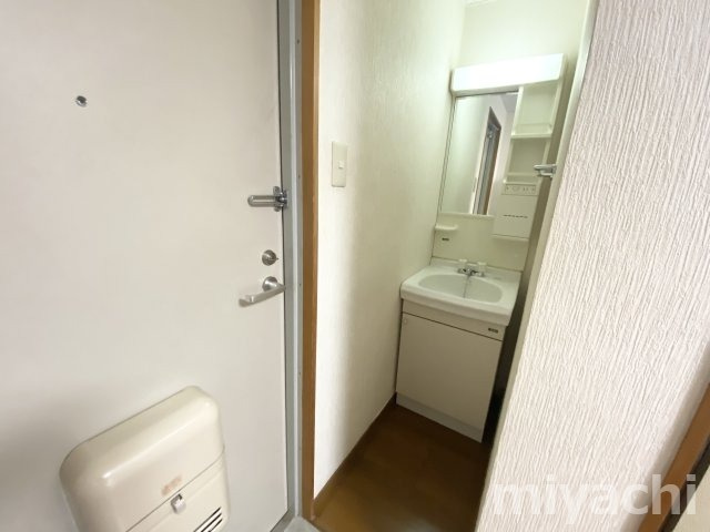徳島市佐古七番町の賃貸マンションの洗面所