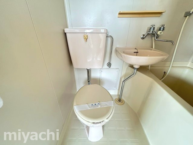 徳島市末広１丁目の賃貸マンションのトイレ