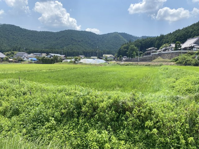 丹波市青垣町栗住野の中古一戸建のその他|農地