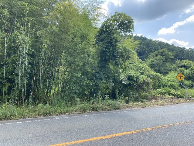 丹波市春日町栢野の中古一戸建のその他|農地