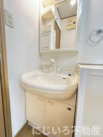 エスタシオン羽ノ浦の洗面所
