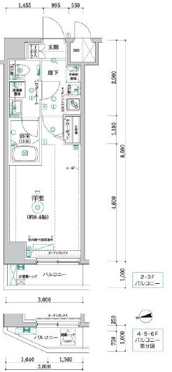 パティーナ住吉Duoの間取り