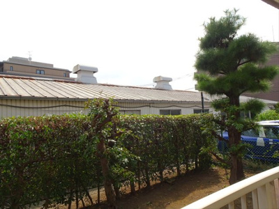 【展望】 | 第一ハウス崔綜