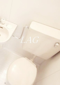 【トイレ】 | メインステージ東向島 | トイレです。