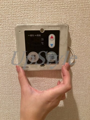 【その他】 | リュイール