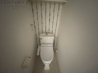 コンパクトで使いやすいトイレです♪