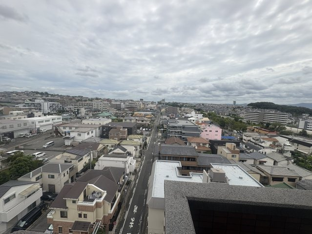 ベルファース緑地公園の展望