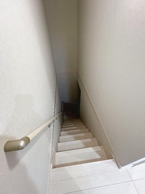 パウコートのその他