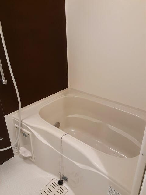ラコルタ南浦和Ｓｔａ．の浴室
