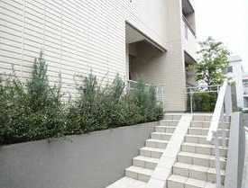 コンフォール三軒茶屋　駅近　女性限定　南東角部屋のその他