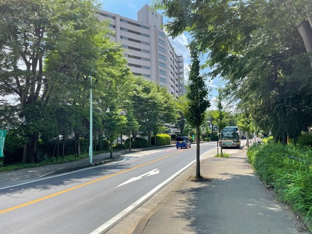 緑ハイツ5号棟の周辺