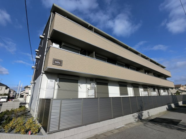 Stellaの画像
