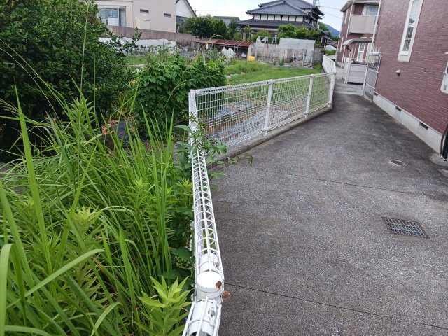 【その他】