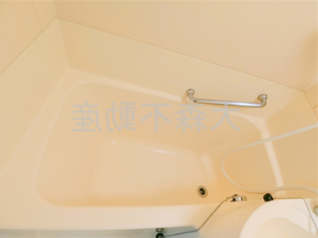 ハイタウン池上No5の浴室