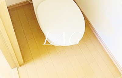 【トイレ】 | エーアスト　ケイ　ハウス | トイレです。
