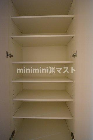 サムティナンバ南の収納