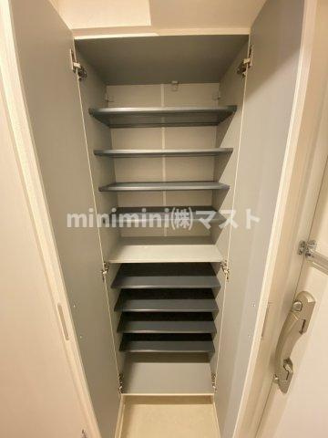 大阪市浪速区大国３丁目の賃貸マンションの収納