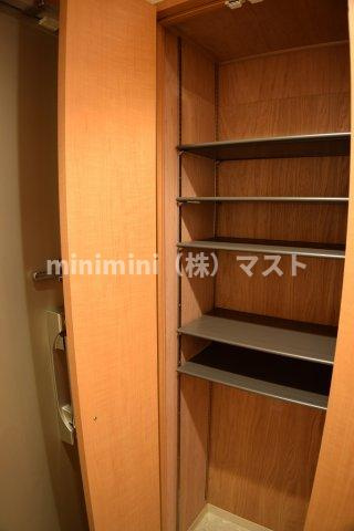 大阪市浪速区大国１丁目の賃貸マンションの収納