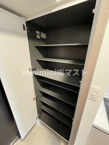 大阪市浪速区大国２丁目の賃貸マンションの収納