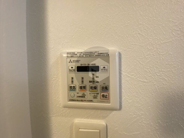 F mirai Noelのその他
