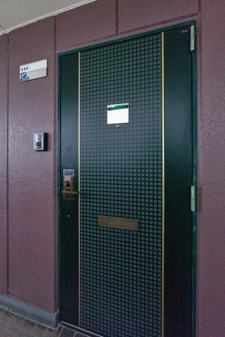 AP256 アンヘルム野田 206の玄関|



