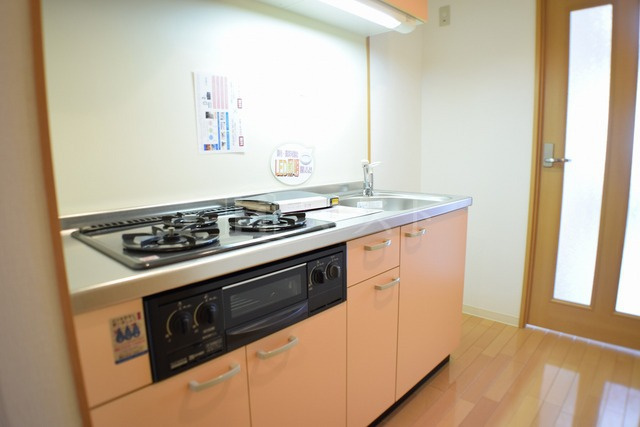 大阪市西区靱本町３丁目の賃貸マンションのキッチン|３口ガスシステムキッチングリル付