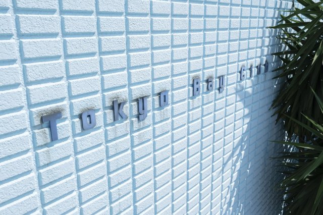 AP622 東京ベイクラブ 307の外観|




