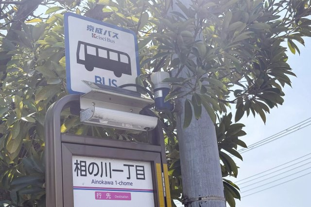 AP622 東京ベイクラブ 307の周辺|




